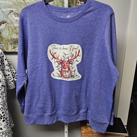 Custom decal sweatshirt size 3x fit 2x - Picture 1 of 3